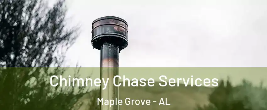 Chimney Chase Services Maple Grove - AL