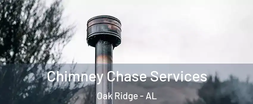 Chimney Chase Services Oak Ridge - AL