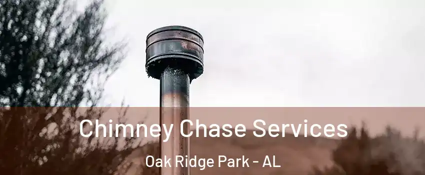 Chimney Chase Services Oak Ridge Park - AL