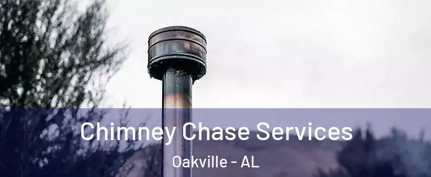 Chimney Chase Services Oakville - AL