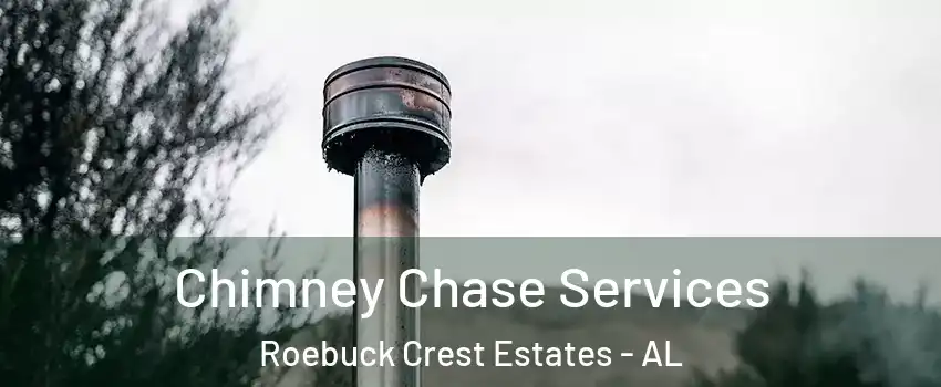 Chimney Chase Services Roebuck Crest Estates - AL