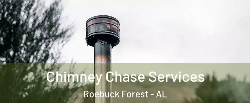 Chimney Chase Services Roebuck Forest - AL
