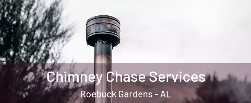 Chimney Chase Services Roebuck Gardens - AL