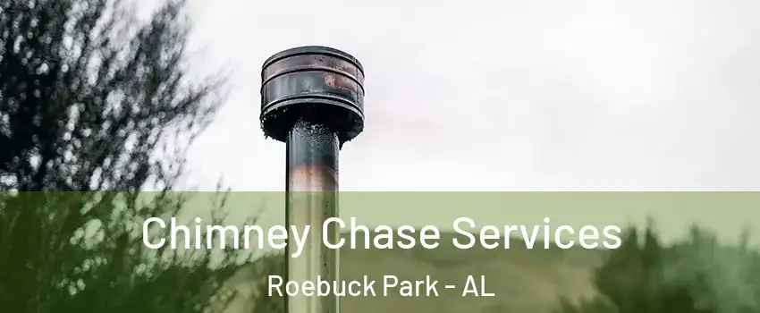 Chimney Chase Services Roebuck Park - AL