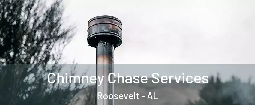Chimney Chase Services Roosevelt - AL