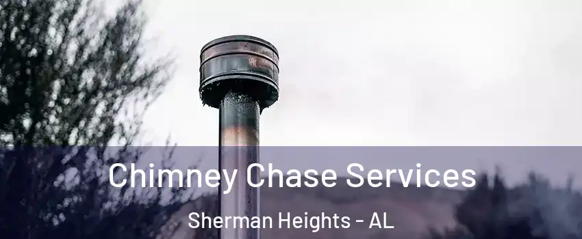 Chimney Chase Services Sherman Heights - AL