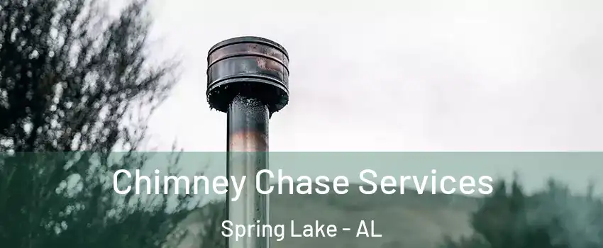 Chimney Chase Services Spring Lake - AL