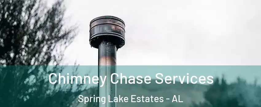 Chimney Chase Services Spring Lake Estates - AL