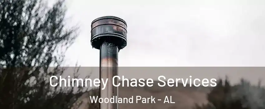 Chimney Chase Services Woodland Park - AL