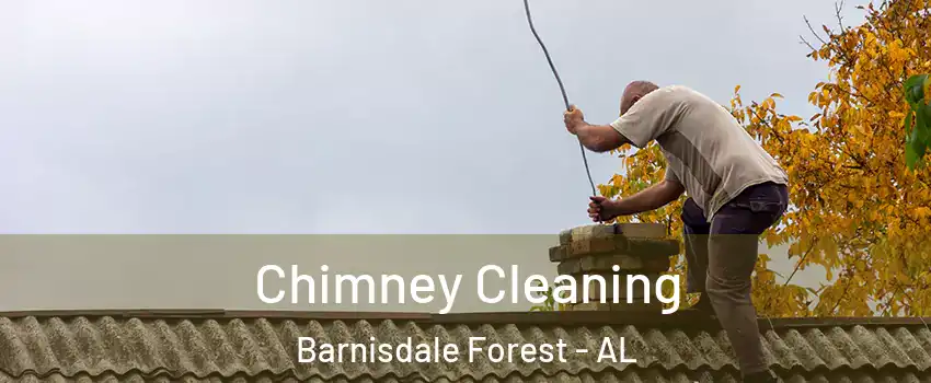 Chimney Cleaning Barnisdale Forest - AL
