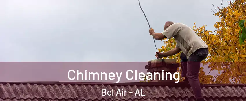 Chimney Cleaning Bel Air - AL