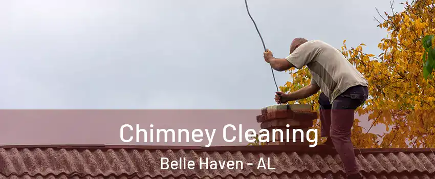 Chimney Cleaning Belle Haven - AL