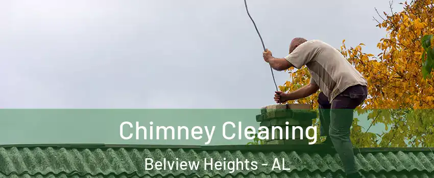 Chimney Cleaning Belview Heights - AL