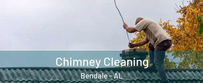 Chimney Cleaning Bendale - AL
