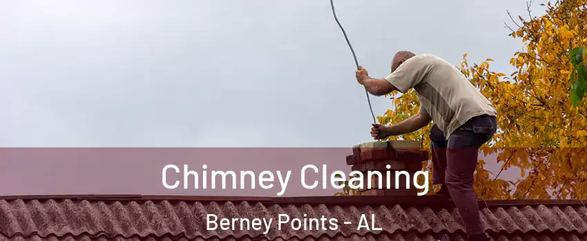 Chimney Cleaning Berney Points - AL