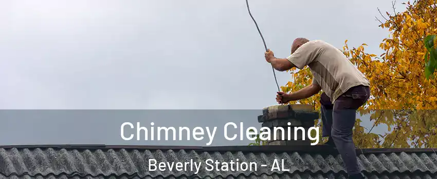 Chimney Cleaning Beverly Station - AL