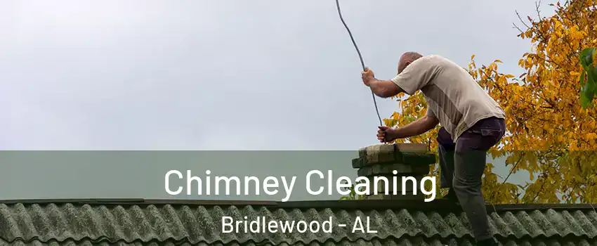 Chimney Cleaning Bridlewood - AL