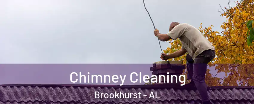 Chimney Cleaning Brookhurst - AL