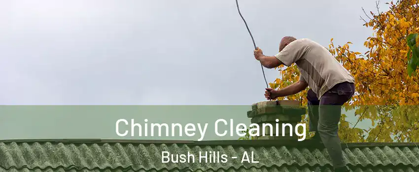 Chimney Cleaning Bush Hills - AL