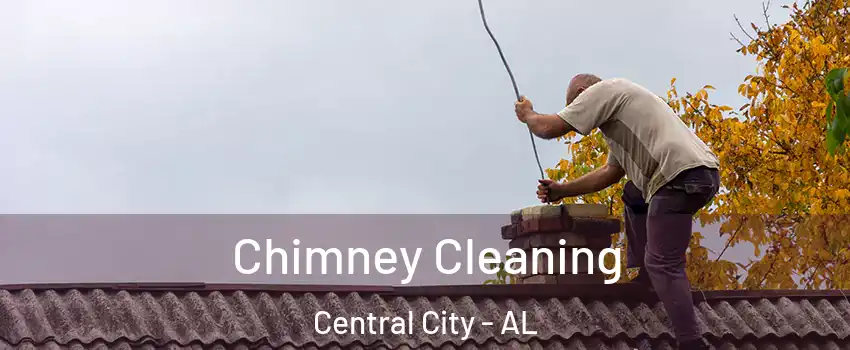 Chimney Cleaning Central City - AL