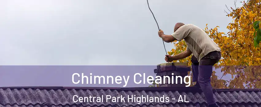 Chimney Cleaning Central Park Highlands - AL