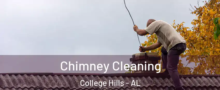 Chimney Cleaning College Hills - AL