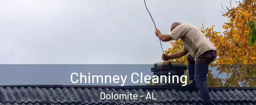 Chimney Cleaning Dolomite - AL