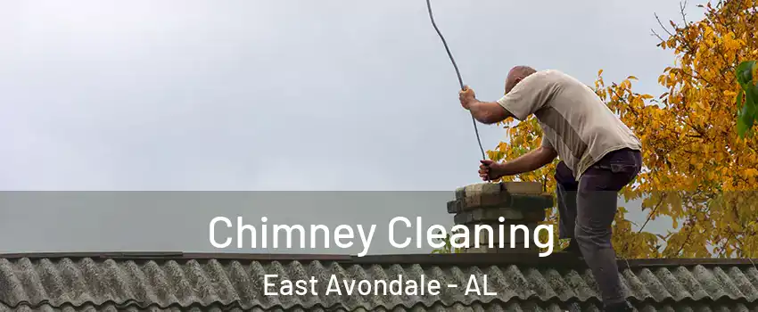 Chimney Cleaning East Avondale - AL