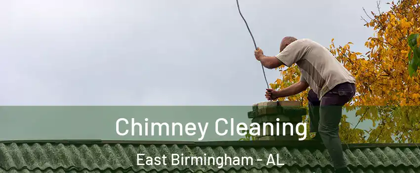 Chimney Cleaning East Birmingham - AL