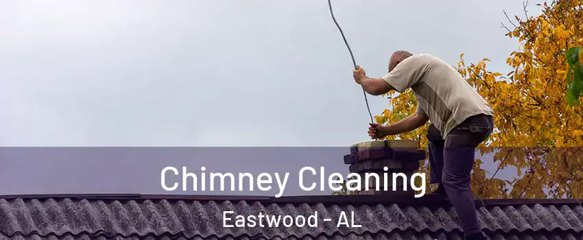Chimney Cleaning Eastwood - AL