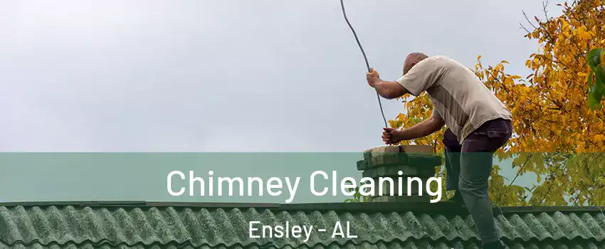 Chimney Cleaning Ensley - AL