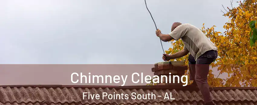 Chimney Cleaning Five Points South - AL