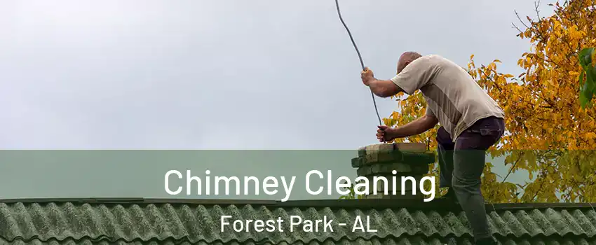 Chimney Cleaning Forest Park - AL