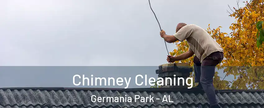 Chimney Cleaning Germania Park - AL