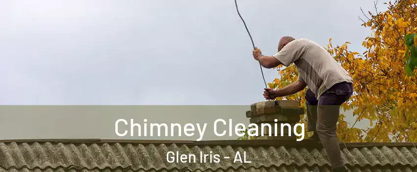 Chimney Cleaning Glen Iris - AL