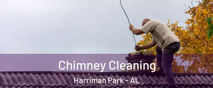 Chimney Cleaning Harriman Park - AL