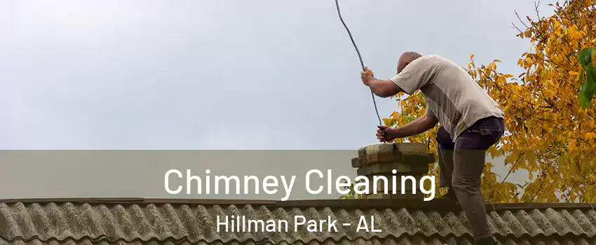 Chimney Cleaning Hillman Park - AL