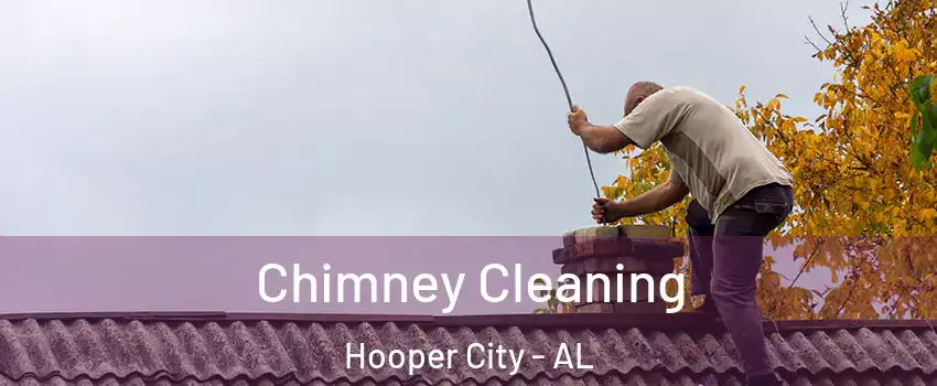 Chimney Cleaning Hooper City - AL