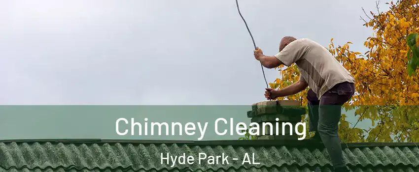 Chimney Cleaning Hyde Park - AL