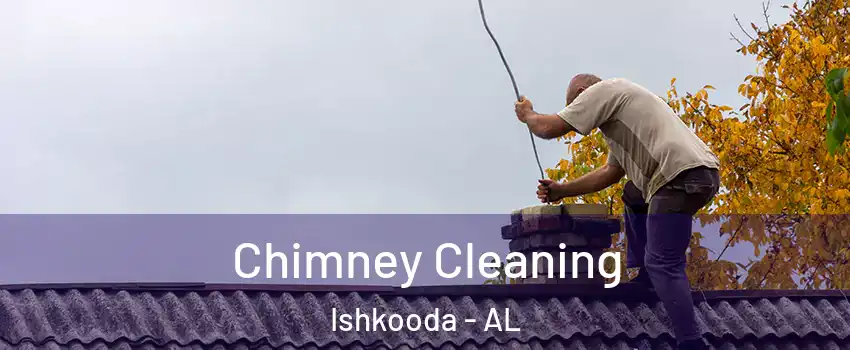 Chimney Cleaning Ishkooda - AL