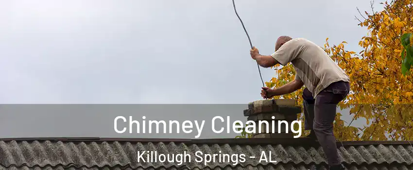 Chimney Cleaning Killough Springs - AL