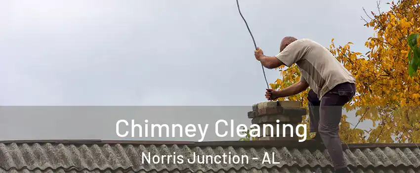 Chimney Cleaning Norris Junction - AL
