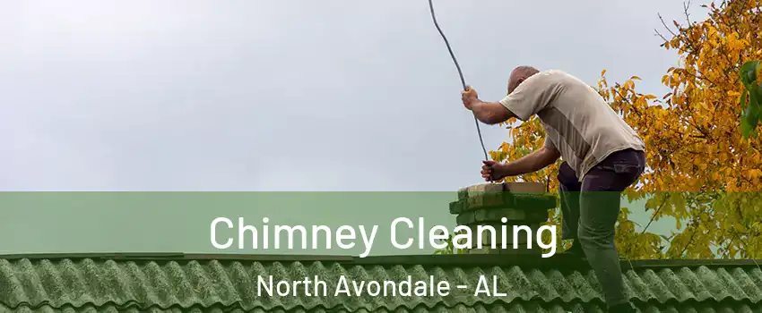 Chimney Cleaning North Avondale - AL