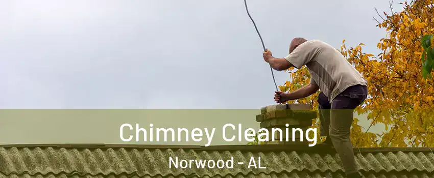 Chimney Cleaning Norwood - AL