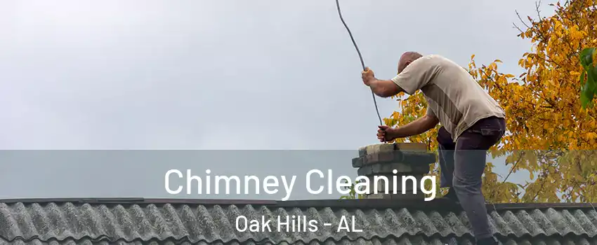 Chimney Cleaning Oak Hills - AL