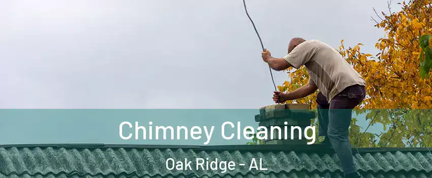 Chimney Cleaning Oak Ridge - AL