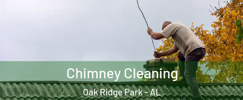 Chimney Cleaning Oak Ridge Park - AL