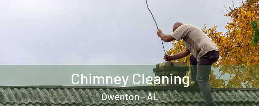 Chimney Cleaning Owenton - AL