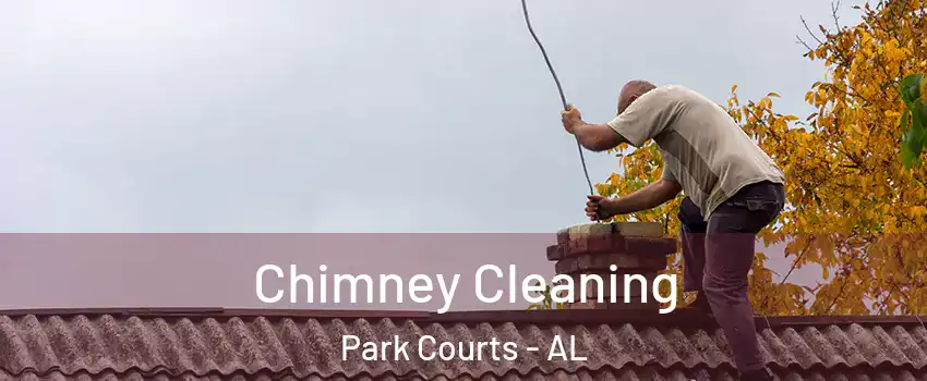 Chimney Cleaning Park Courts - AL
