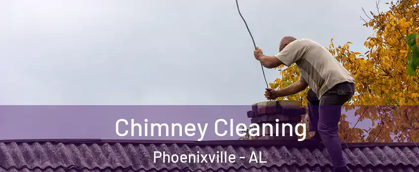 Chimney Cleaning Phoenixville - AL